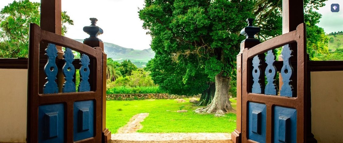 A pair of wooden doors standing open onto a green garden