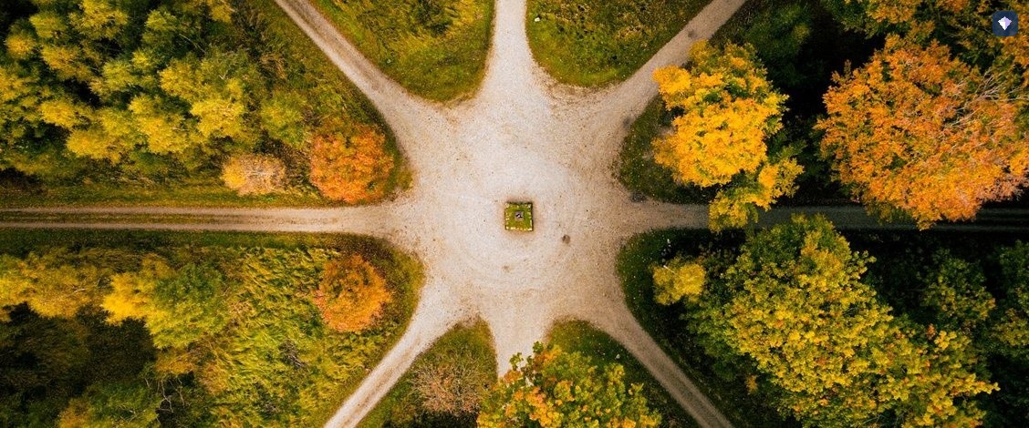 Paths crossing and dividing through autumn woodland, seen from above