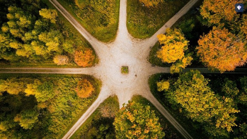 Paths crossing and dividing through autumn woodland, seen from above